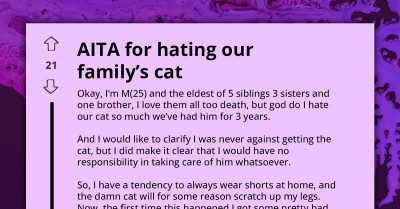 "I Will Feed The Cat, But Refuse To Play With It" - AITA For Not Loving Our Family Cat