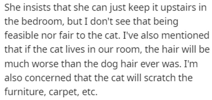 Regardless, OP's girlfriend is still dead set on getting a cat