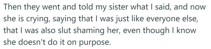The Redditor's sister is also upset about what she said, accusing her of 