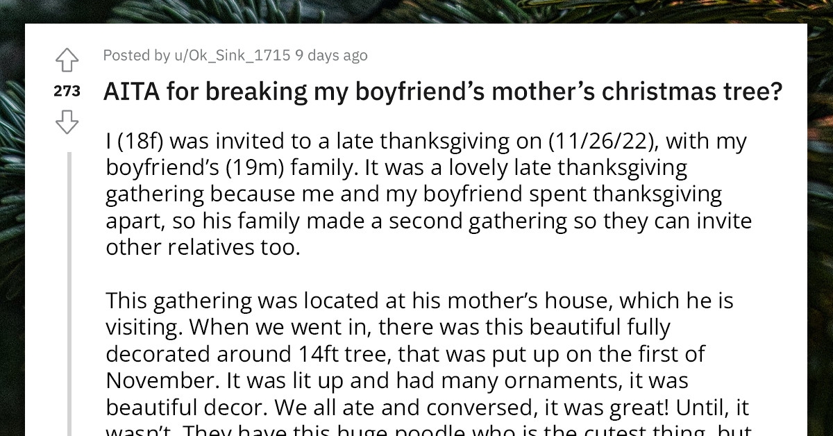 Teen Accidentally Breaks BF's Mother's Christmas Tree While Playing With Dog, Then Leaves The House