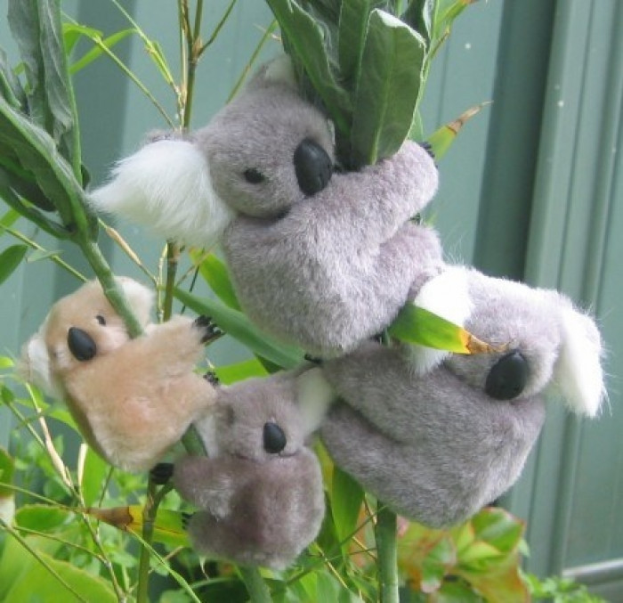 11. Koala bear pencil huggers.
