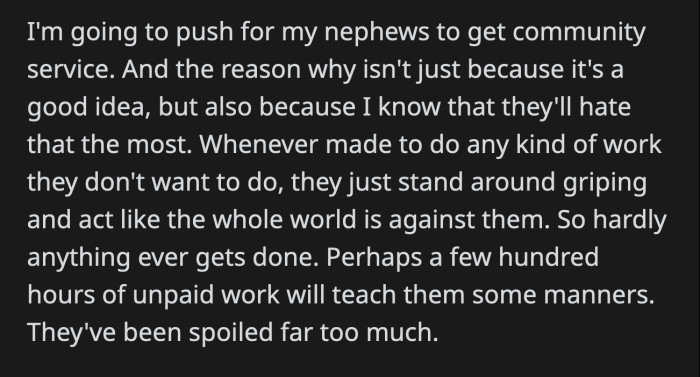 OP believes his nephews can repent for their sins through unpaid hours of community service.