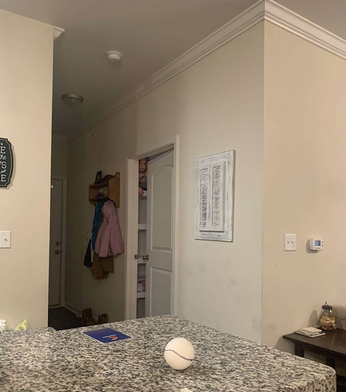 49. Child of the Cabinet, coming soon to theatres near you