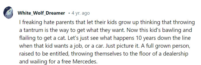 Teaching kids life skills beyond tantrums is a good plan; though, a dealership floor might not be the best place for a free Mercedes audition—they'll need to upgrade their tactics!