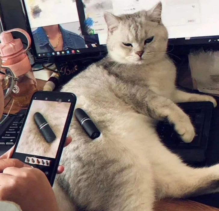 4. “Luxury background.”