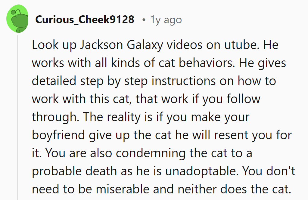 She should check out Jackson Galaxy's YouTube videos for purr-fect solutions to her cat's antics!