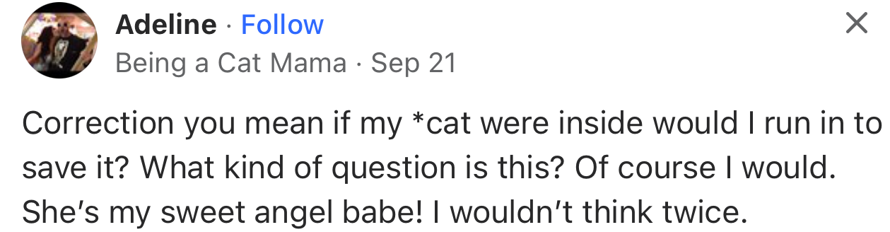 Cat Parents Couldn’t Help Joining the Conversation