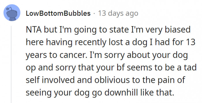 7. The boyfriend should at least understand how much the dog means to her, having been her pet for 14 years