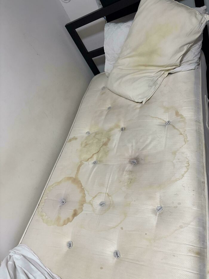 "The Bed Work Provided Me With"