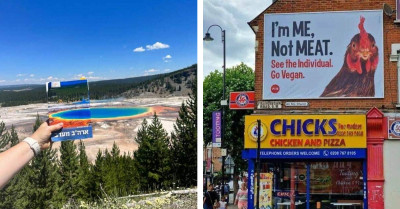 21 Pictures Of Pure, Unfiltered Randomness To Add Some Spark To Your Day