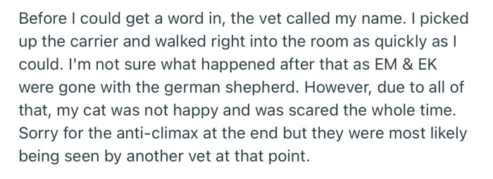 As things started to escalate, OP was glad to hear the vet call out their name