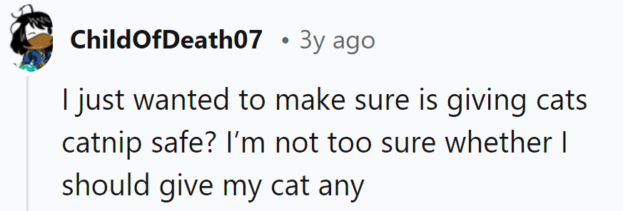 Catnip: the gateway drug to feline fun! Just watch out for the post-party crash!