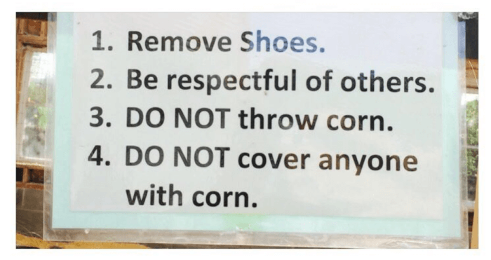 29. Some Kind of Farmersonly.com Swinger Party