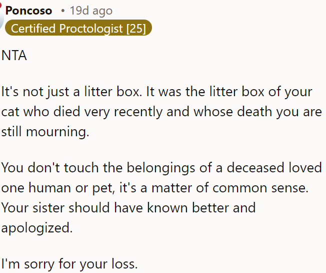 OP's sister should have respected the litter box as it belonged to OP's recently deceased cat.
