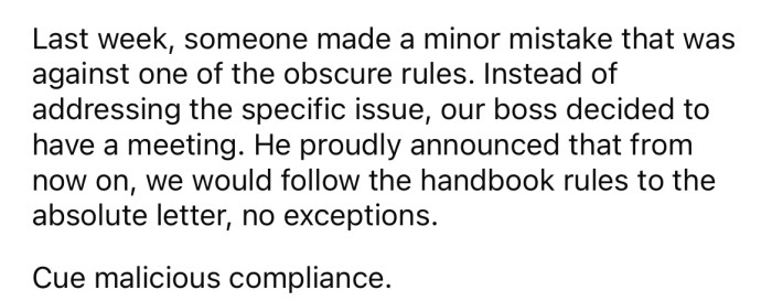 When one of the OP's colleagues made a small mistake recently, the boss called a meeting and announced that the staff would need to follow the handbook rules to the letter from then on with no exceptions.
