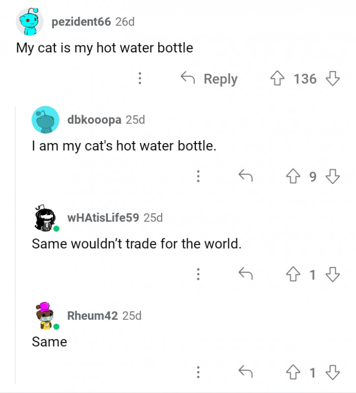 11. Who is really the hot water bottle? The cat or the fur parent?