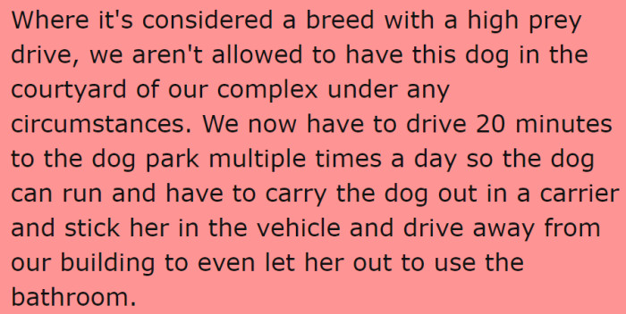 The Heeler isn't really suitable for the family's lifestyle.