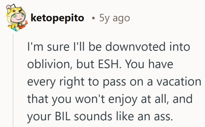 Sometimes the fairest answer is admitting the vacation was never going to work for everyone.