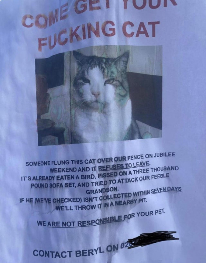17.