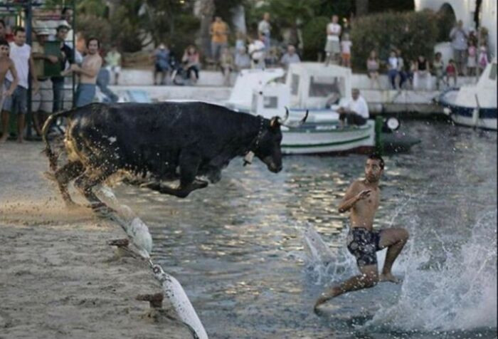 "Bull's Attack"