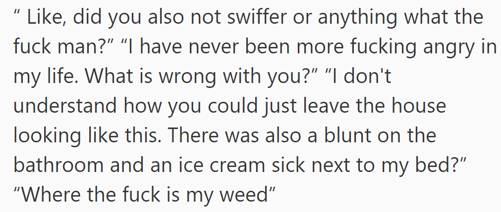 Her sister's furious texts upon return criticized the minimal cleaning, citing dog hair, a blunt, and missing weed, shocking OP.
