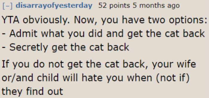 The next best move is to get the cat back. If he gets it back secretly, he needs to make sure that his wife won't find out what he did.