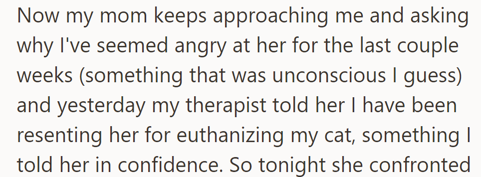 OP's Mom Wonders Why There's Anger Lately, Unaware of the Resentment Over Euthanizing the Cat, Disclosed by the Therapist.