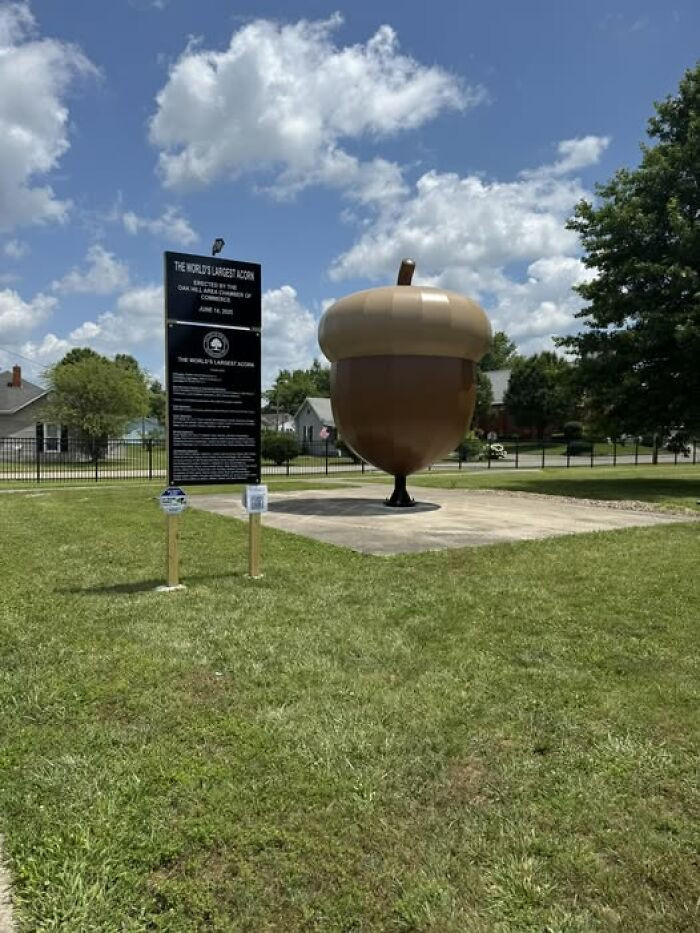 "World’s Largest Acorn, Oak Hill Ohio"