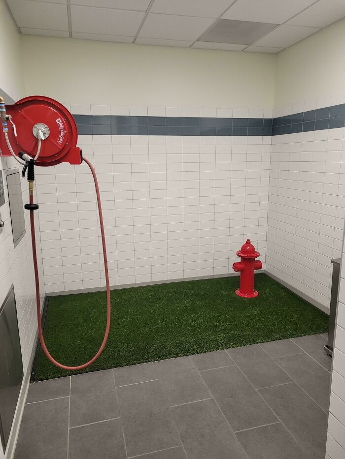 "This Airport Has A Bathroom For Service Animals"