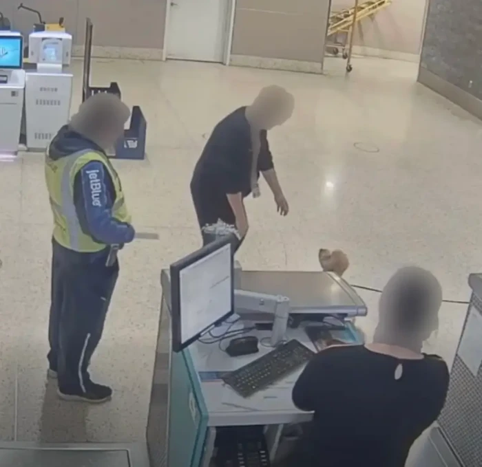 Airport staff check pet health documents near a boarding gate desk.