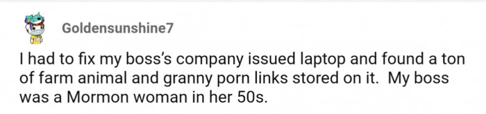 37. Boss had a bunch of weird porn on their company issued laptop