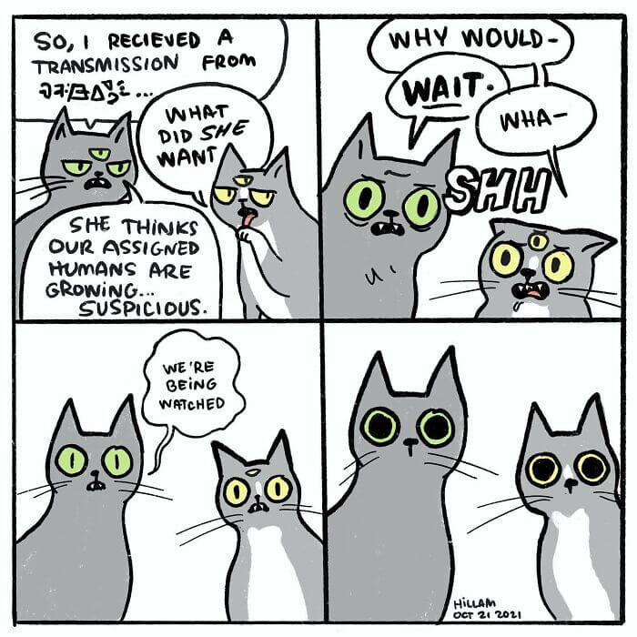 19. We are being watched, or don't you think so?