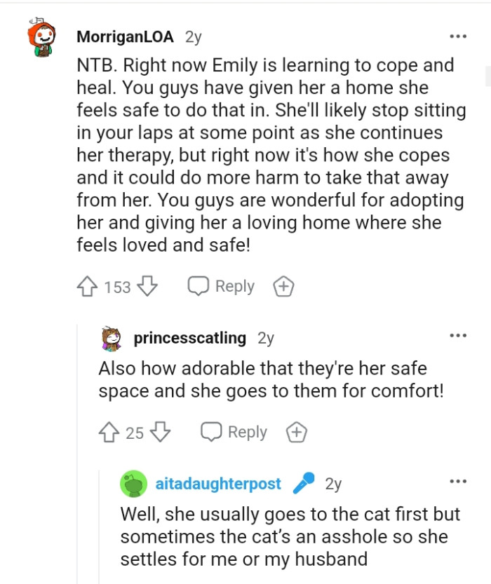 The OP and the Husband Are Nice for Adopting Her