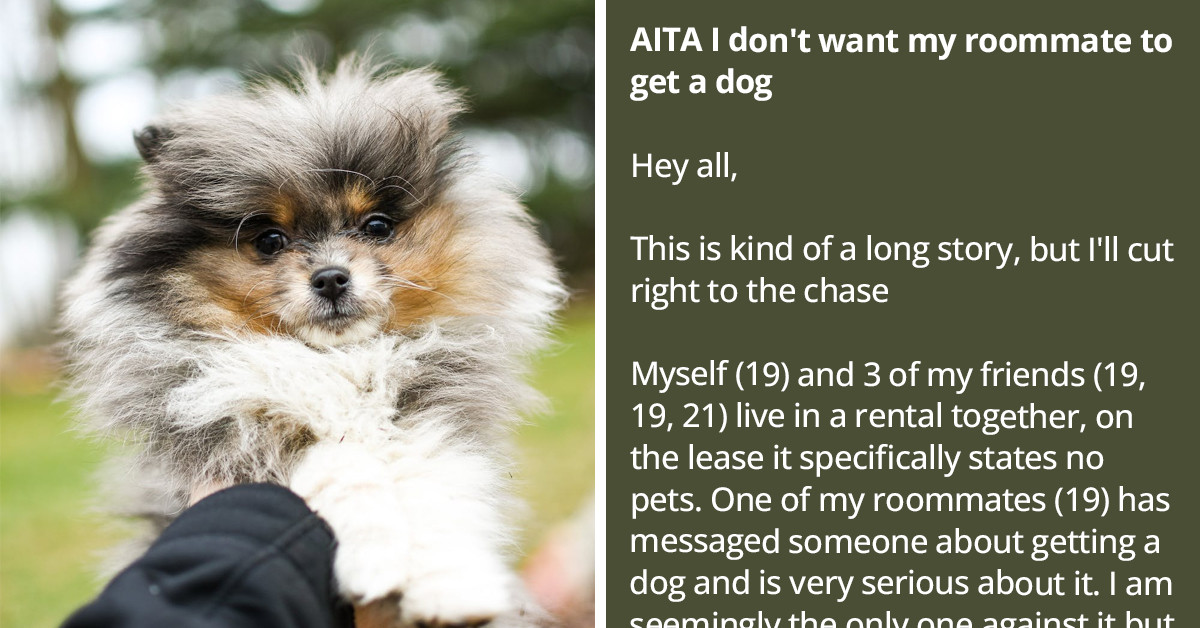 Redditor Doesn't Want Their Roommate To Get A Dog, Asks The Internet If They Are An A-Hole For Thinking So