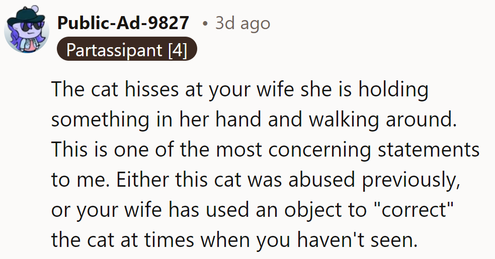 The cat hisses at her when she’s holding something? Either past abuse or a hidden correction method.