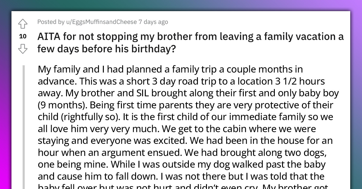 Man Upset Because A Dog Walked Past His Baby And Caused It To Lose Balance, Ends Up Leaving A Family Vacation