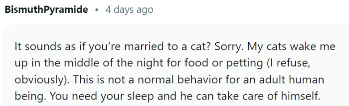 Sounds like a cat. Yes, he does.