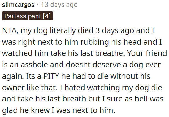 It's heartbreaking to see such disregard for a loyal companion.