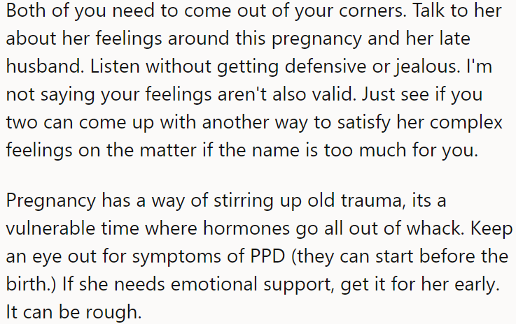 A Redditor explained their POV to the OP.