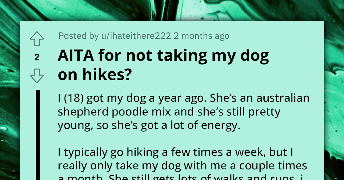 Redditor Adopts First Dog, Dad Criticizes Them For Not Taking The Dog On Hikes