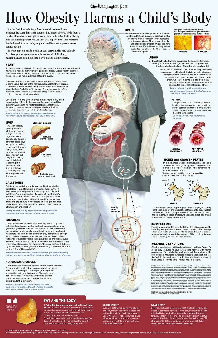 3. A Cool Guide On How Obesity Harms A Child's Body