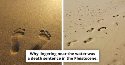 Ancient Footprints Discovery Could Rewrite the History of Human Migration