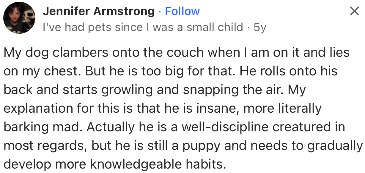 According to this user, their dog lays on their chest as well, but with a little drama to go with it.