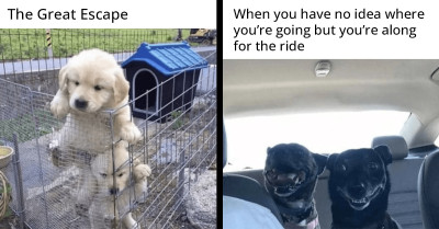 These Heartwarming Memes Are Guaranteed To Melt Your Heart