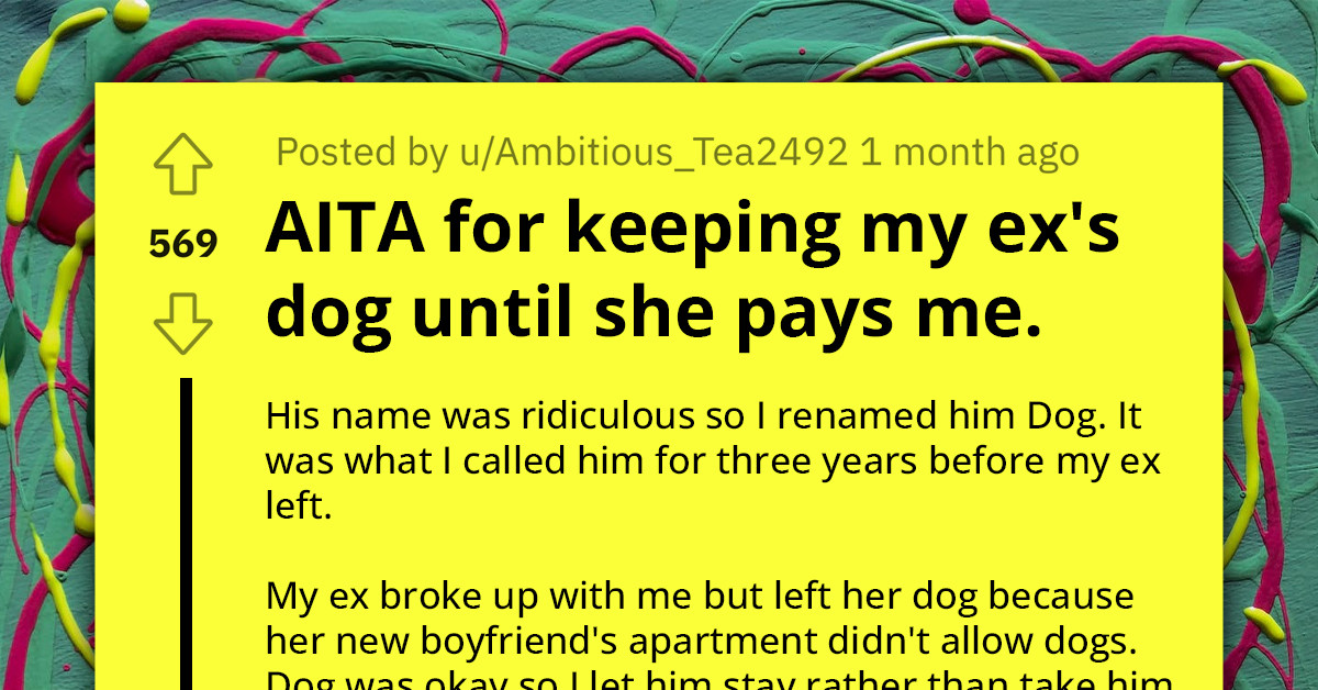 Redditor Pays $2,400 Surgery For The Dog His Ex-Girlfriend Left Behind, Now She Wants It When It's Healthy