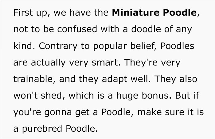 Poodles are very trainable