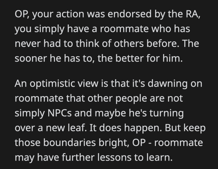OP really should have followed through with his initial threat and reported his roommate sooner. But this is a favorable outcome as well.