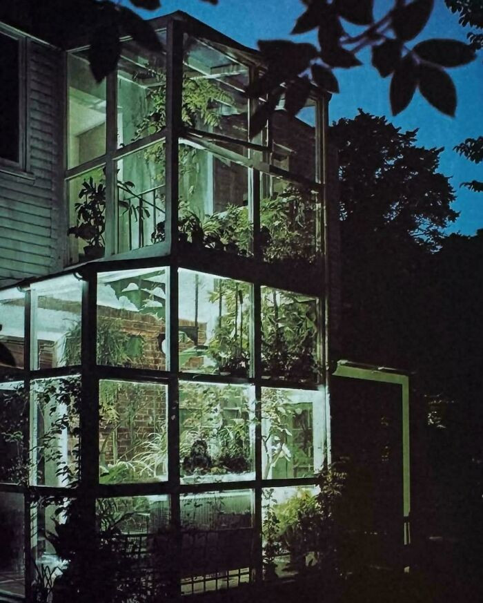 "From 📚 'The Indoor Garden: The Houseplant Lovers Guide' ©1977 By Cynthia Wickham"
