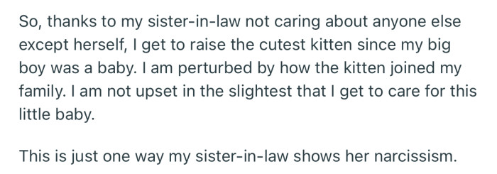 OP had to step in to adopt the cat, knowing that it would be harmful to their SIL’s child