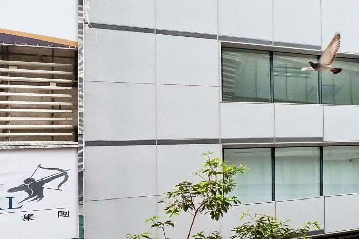 3. Fly, bird, it's targeted at you!